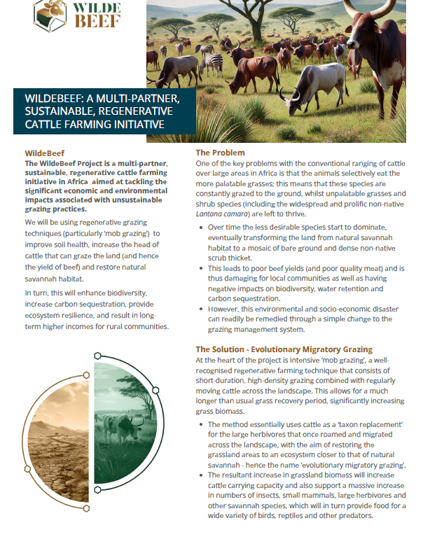 WildeBeef Prospectus
